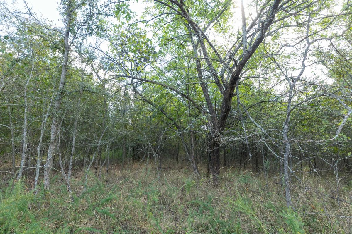 Decorative background for Reserves At Cattail Cove Phase II Tract 71 image 8