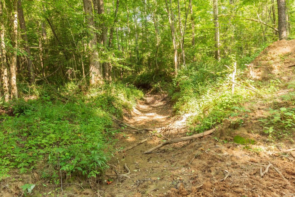 Whiskey Ridge Tract 97 - Image 2
