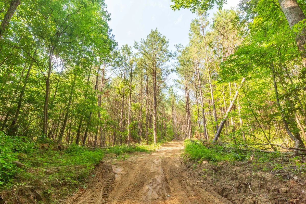 Decorative background for Whiskey Ridge Tract 97 image 7