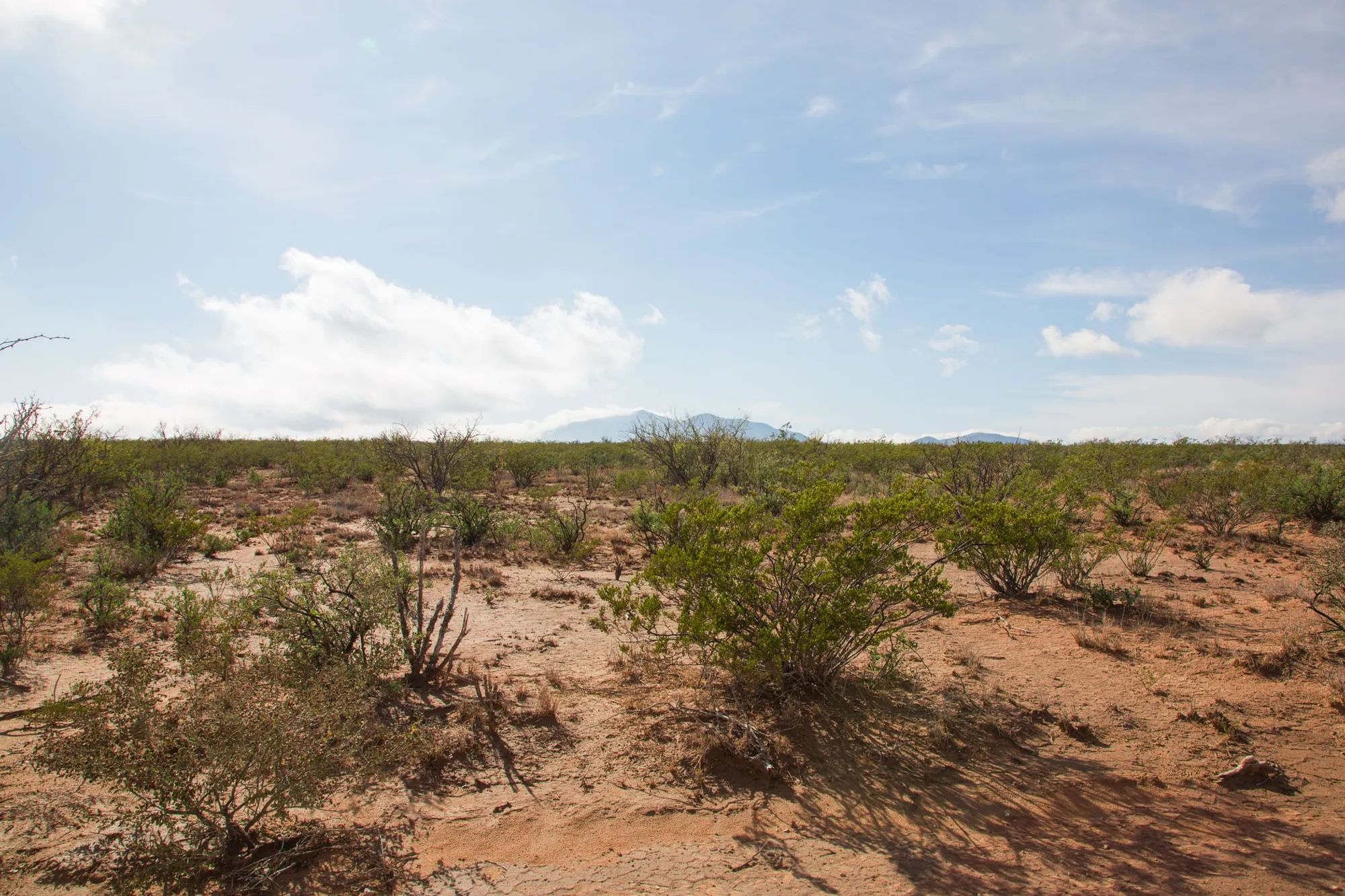 Sunset Ranches Tract 13 in Hudspeth County, TX