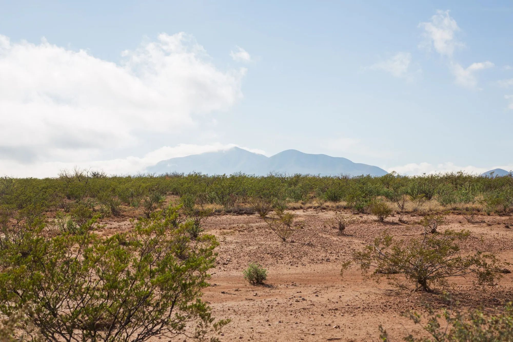 Sunset Ranches Tract 13 in Hudspeth County, TX