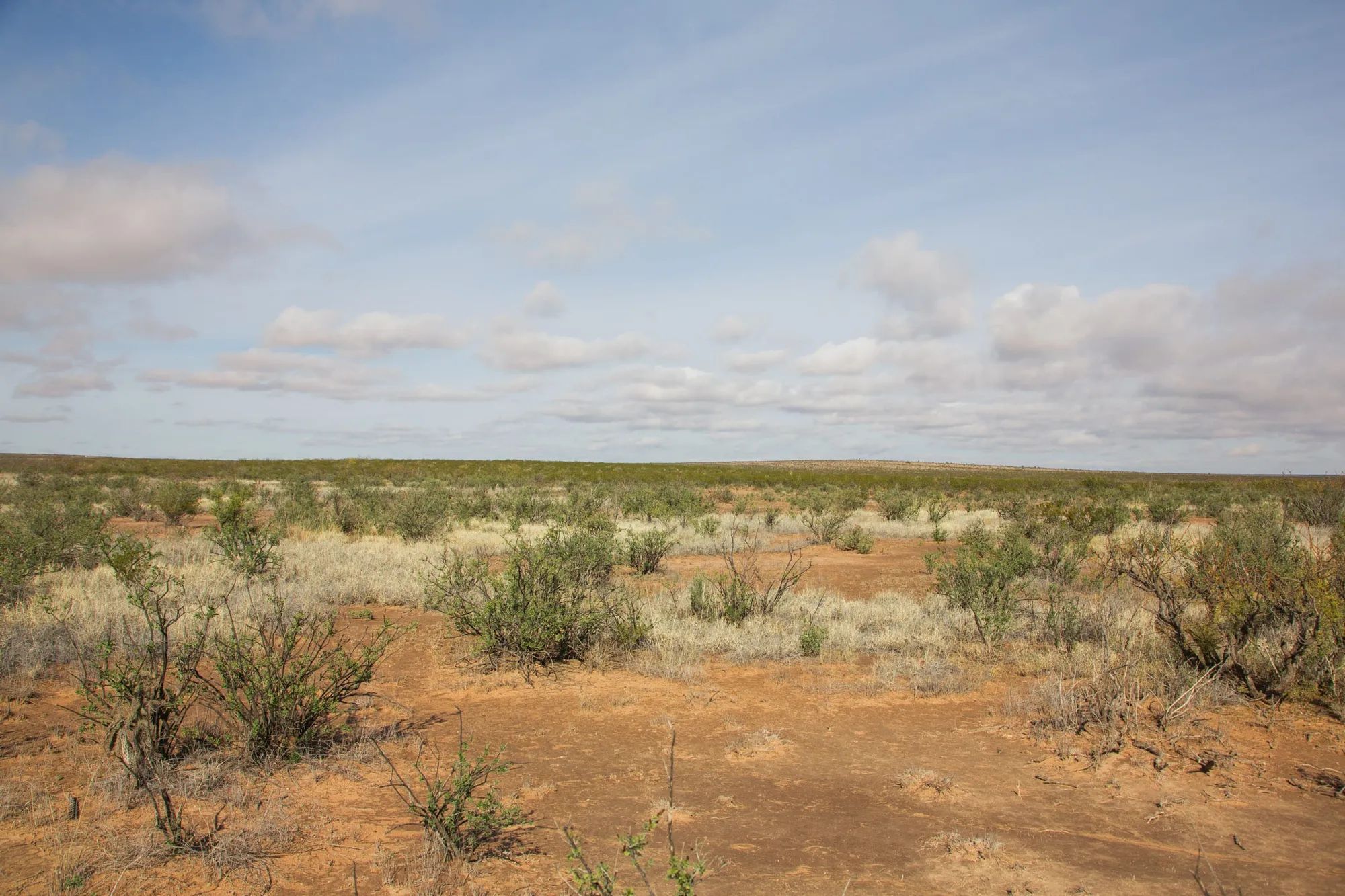 Sunset Ranches Tract 13 in Hudspeth County, TX