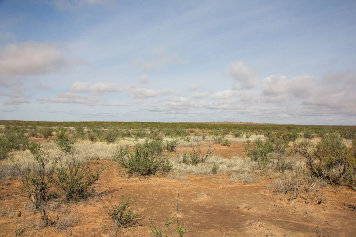 Sunset Ranches Tract 13 - Image 4