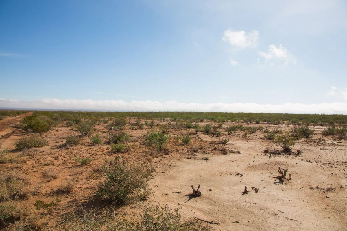 Decorative background for Sunset Ranches Tract 13 image 7
