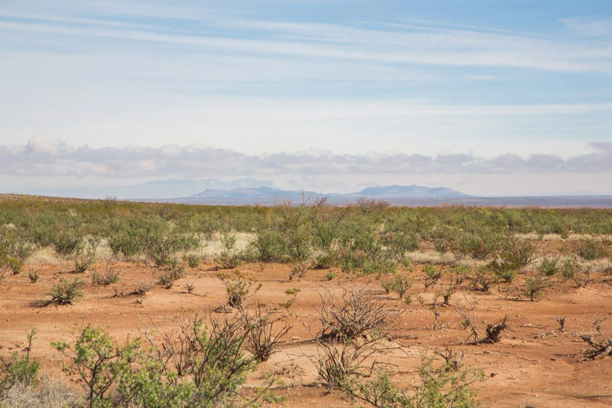 Decorative background for Sunset Ranches Tract 13 image 8