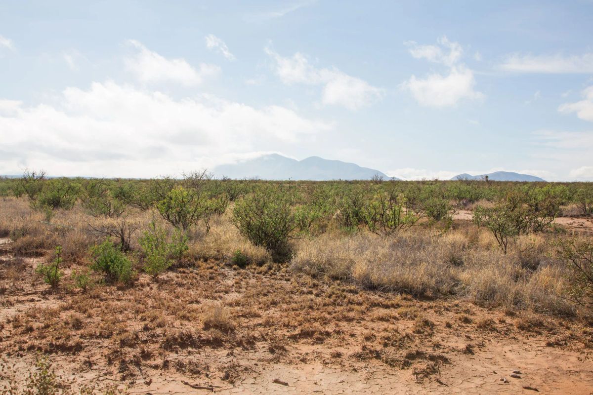 Decorative background for Sunset Ranches Tract 13 image 10