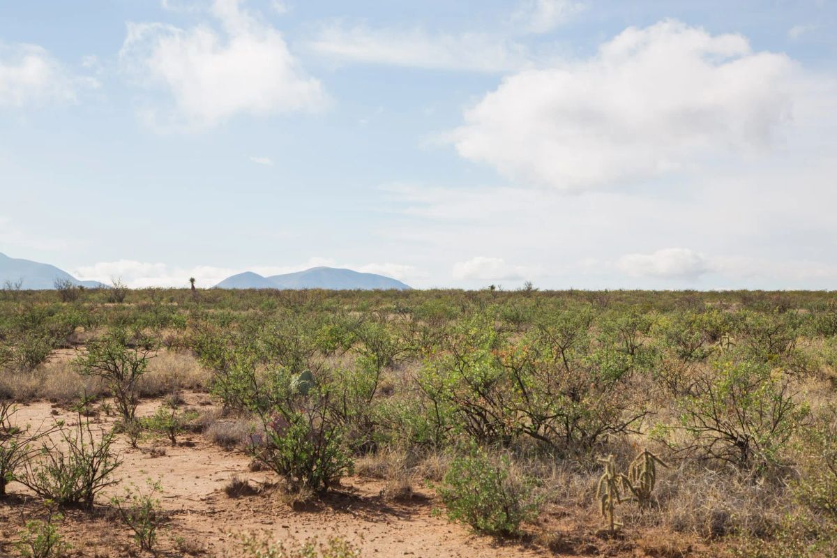 Decorative background for Sunset Ranches Tract 13 image 11