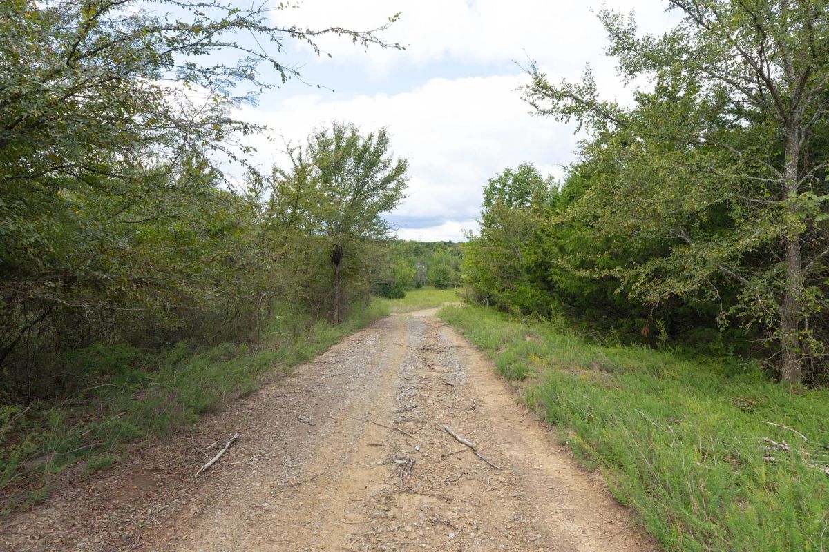 Reserves At Cattail Cove Phase II Tract 89 - Image 4