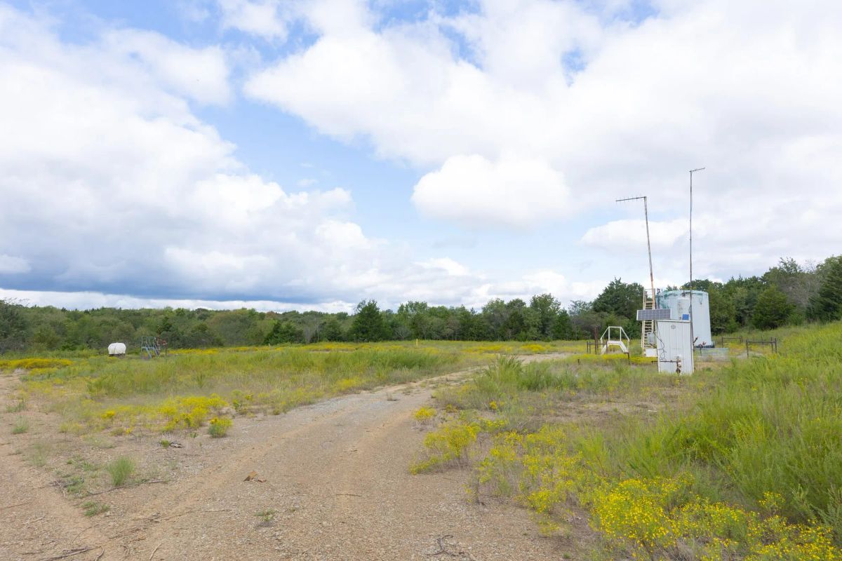 Decorative background for Reserves At Cattail Cove Phase II Tract 89 image 5