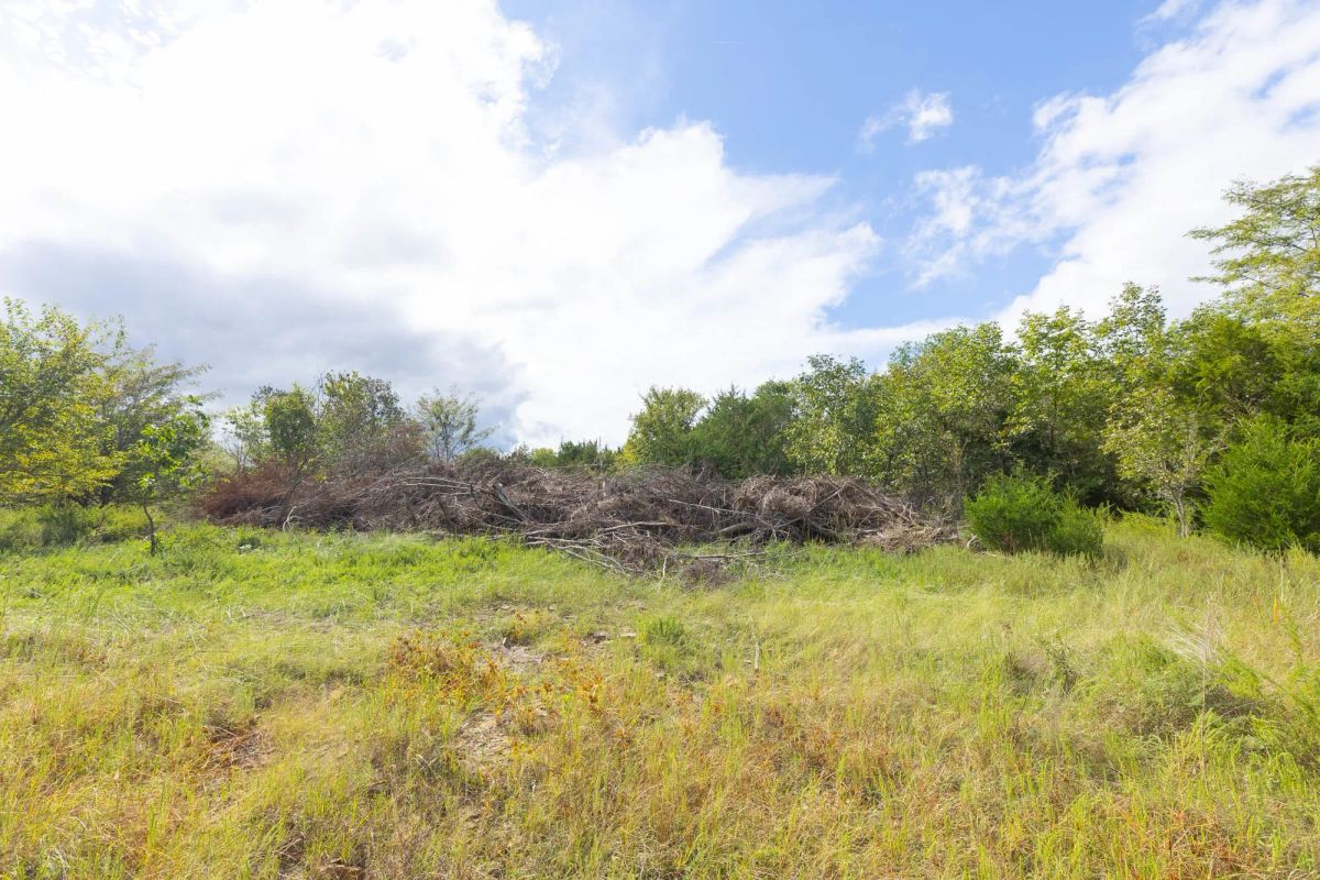 Decorative background for Reserves At Cattail Cove Phase II Tract 89 image 6