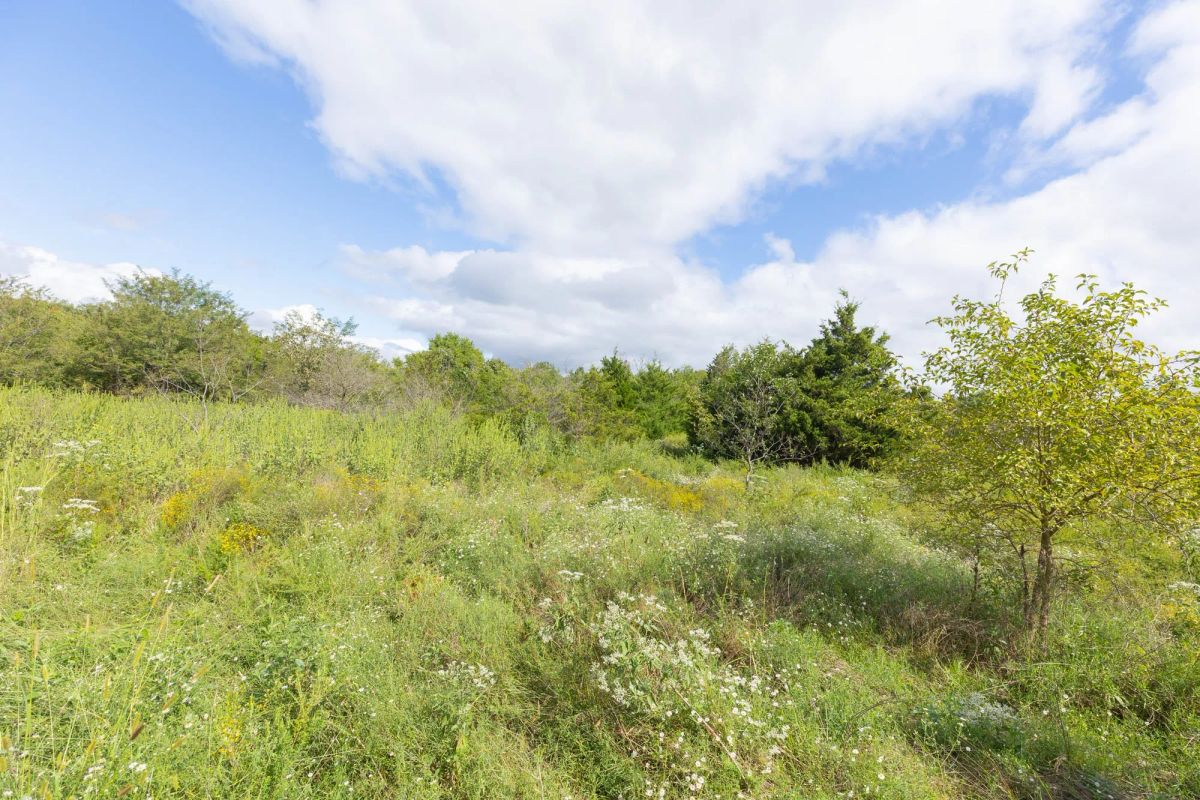 Decorative background for Reserves At Cattail Cove Phase II Tract 89 image 7