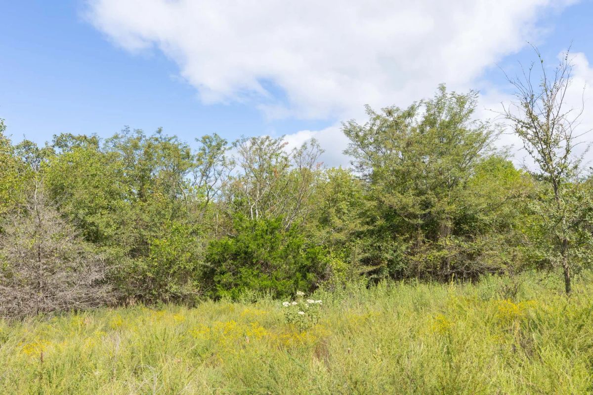 Decorative background for Reserves At Cattail Cove Phase II Tract 89 image 9