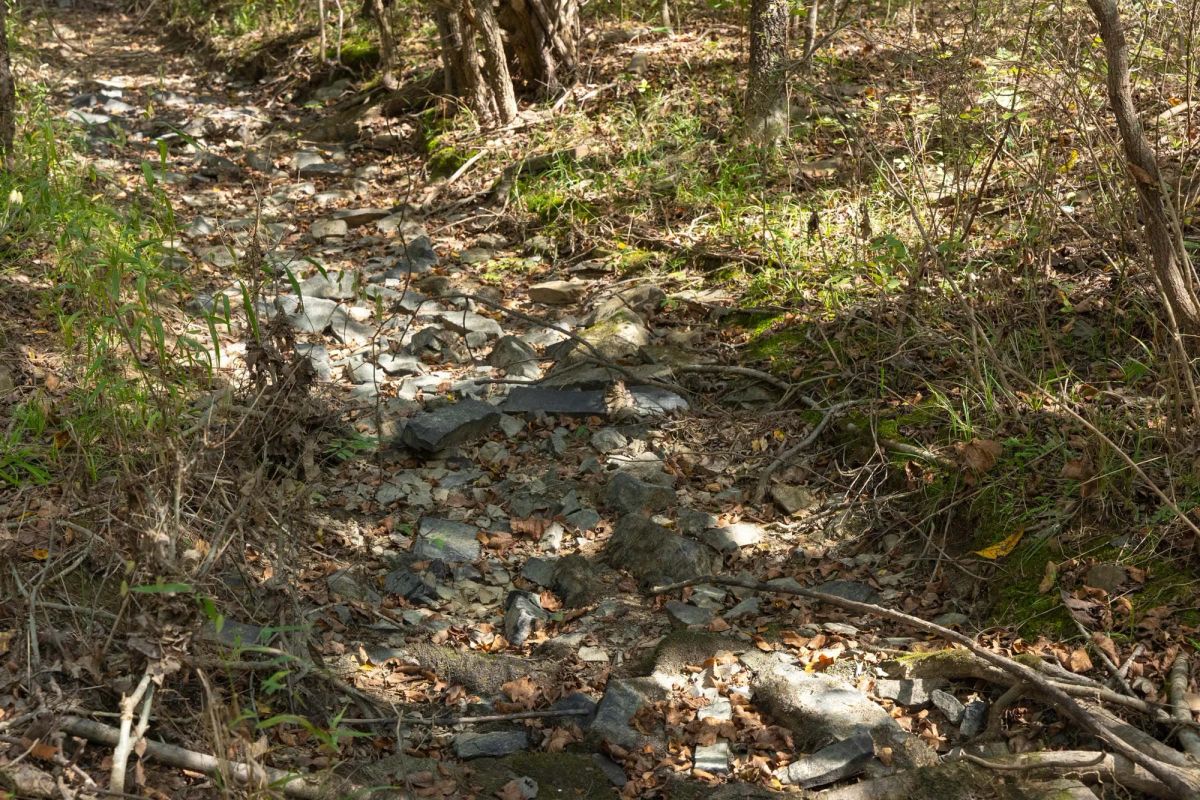 Decorative background for Reserves At Cattail Cove Phase II Tract 89 image 11
