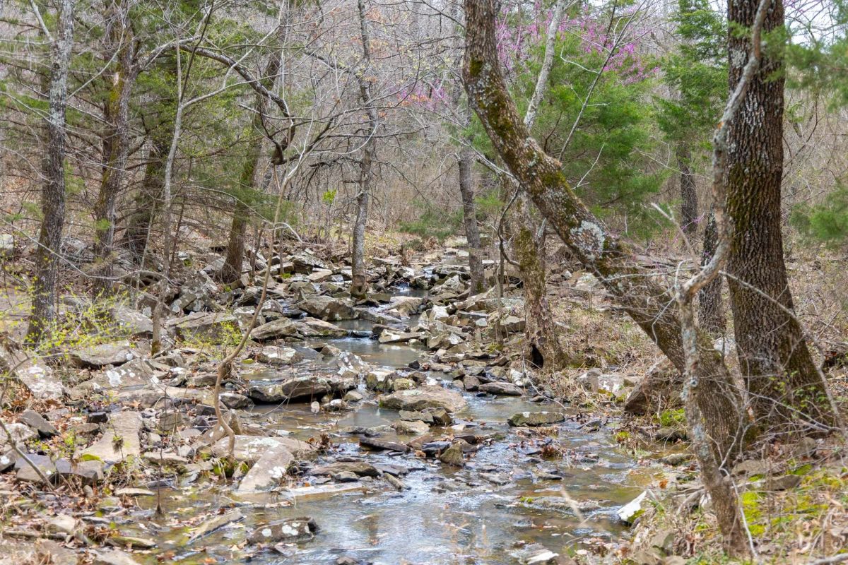 Decorative background for Reserves At Cattail Cove Phase II Tract 89 image 12