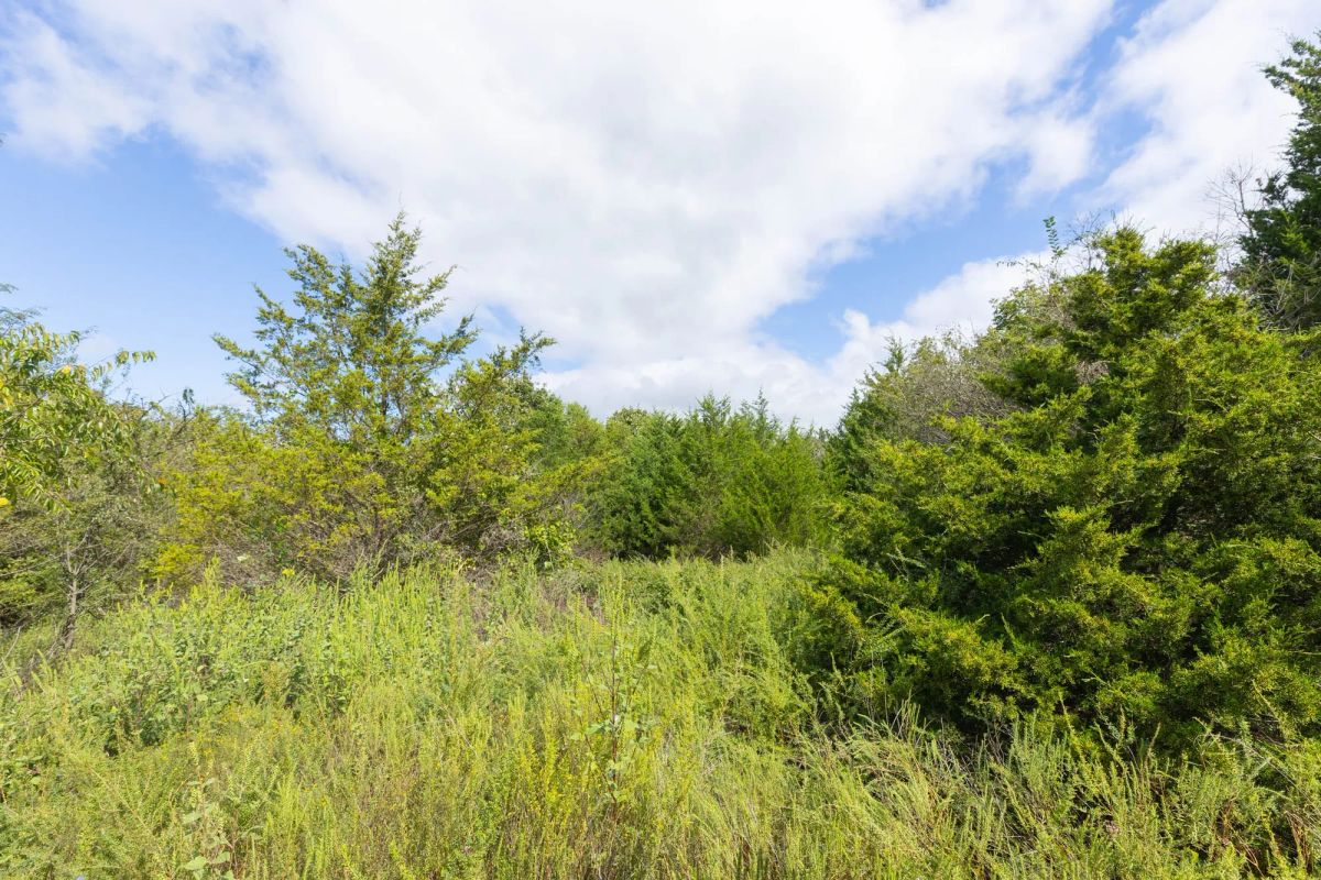 Decorative background for Reserves At Cattail Cove Phase II Tract 89 image 14