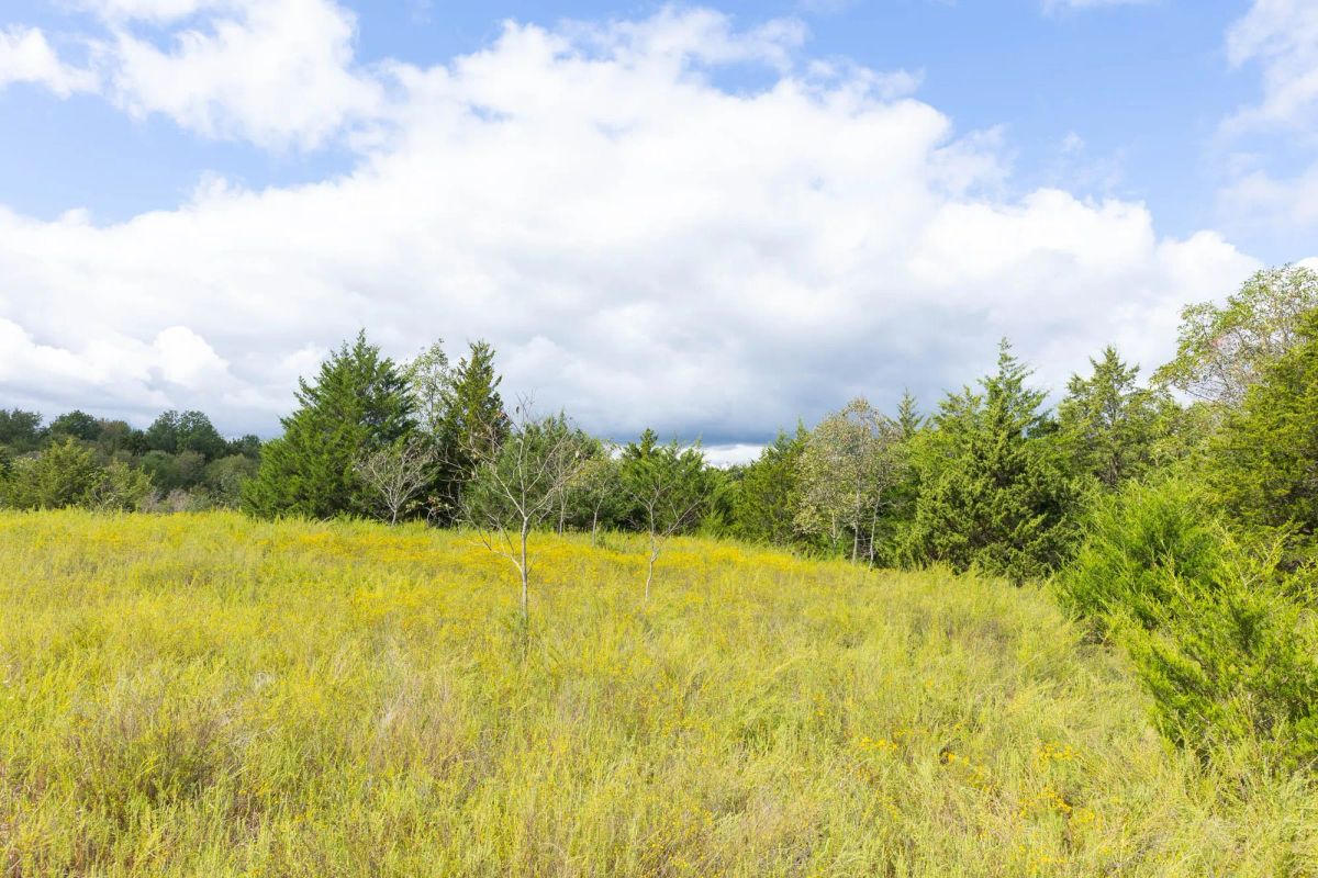 Decorative background for Reserves At Cattail Cove Phase II Tract 89 image 15
