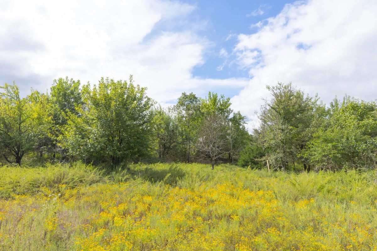 Decorative background for Reserves At Cattail Cove Phase II Tract 89 image 16