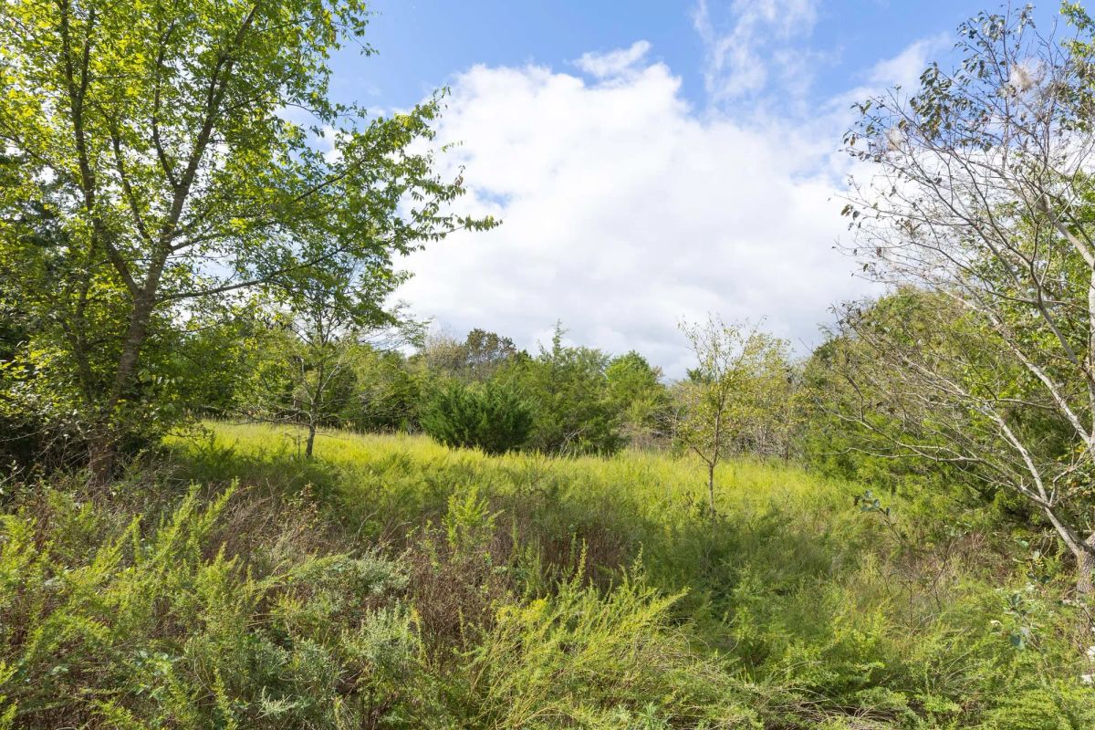Decorative background for Reserves At Cattail Cove Phase II Tract 89 image 17
