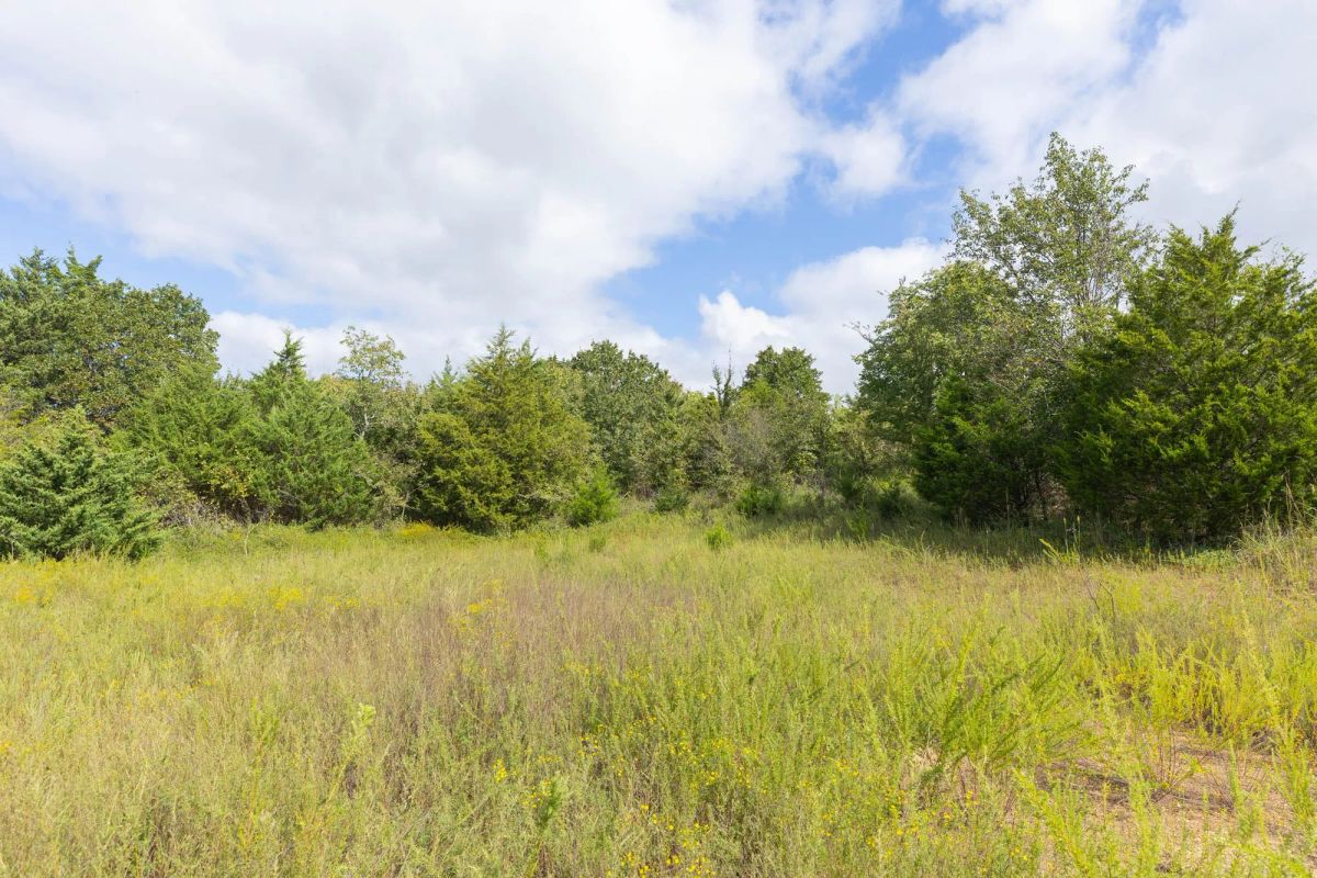 Decorative background for Reserves At Cattail Cove Phase II Tract 89 image 18