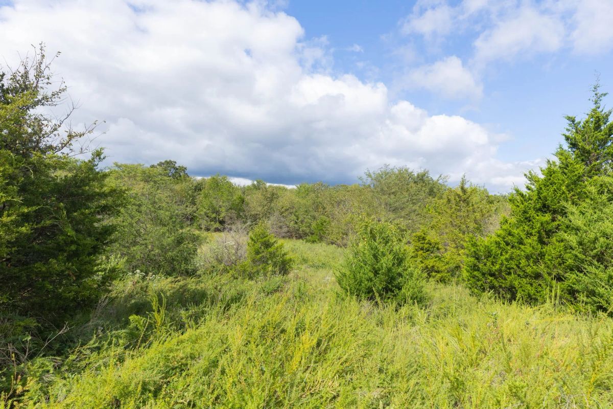 Decorative background for Reserves At Cattail Cove Phase II Tract 89 image 19