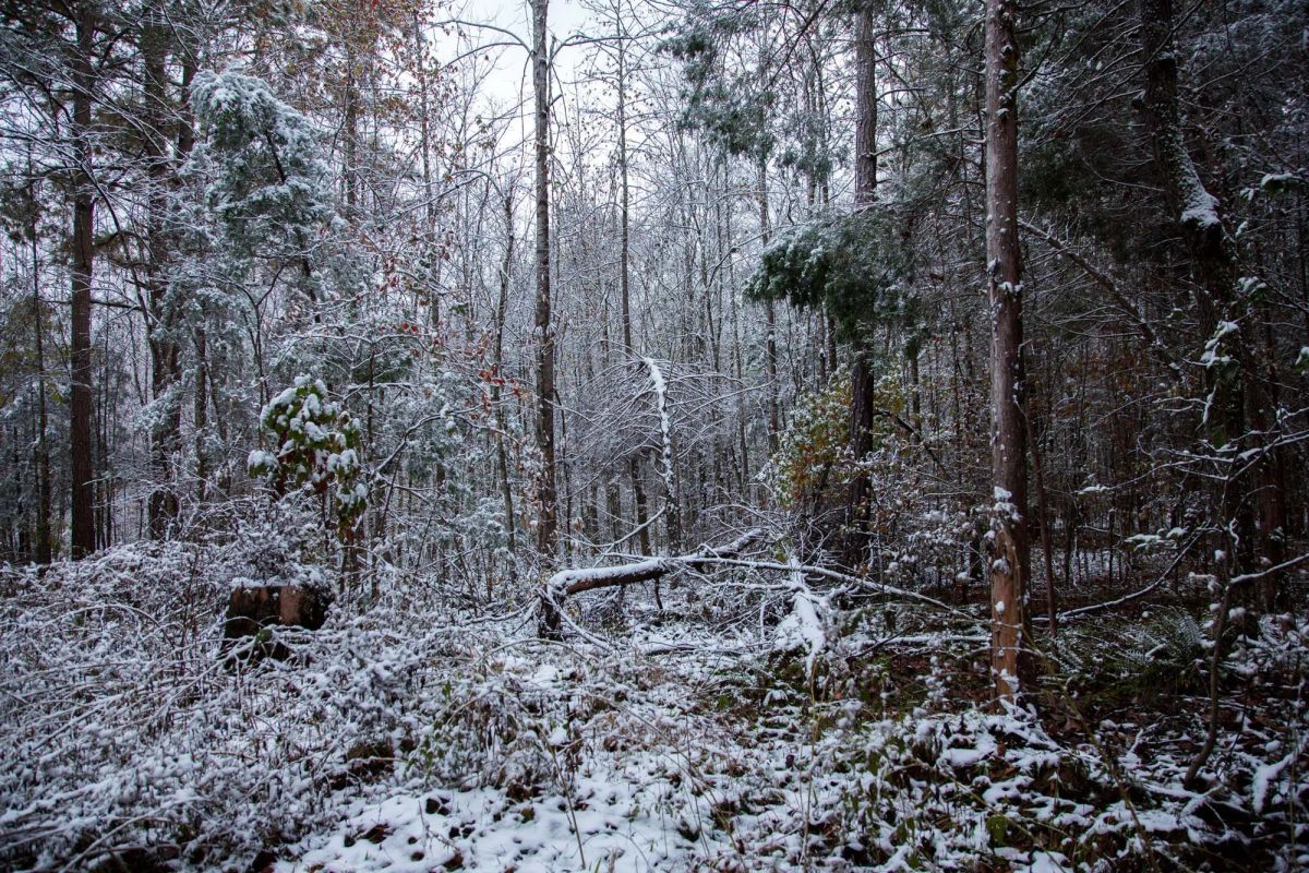 Sweet Water Ranch Tract 26 - Main image
