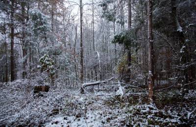 Sweet Water Ranch Tract 26