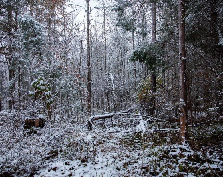 Sweet Water Ranch Tract 26 in Decatur County, TN