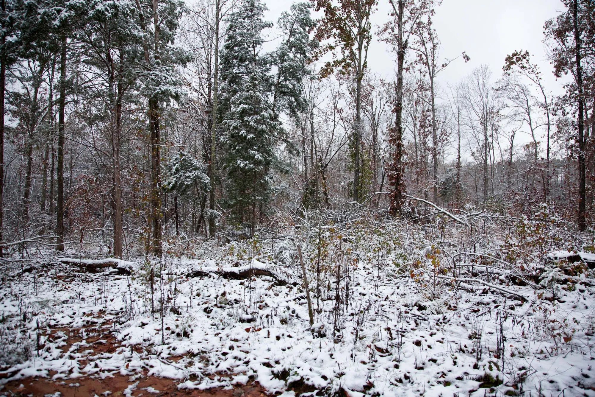 Sweet Water Ranch Tract 26 in Decatur County, TN