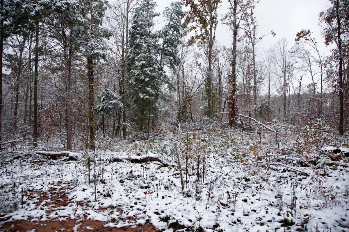 Sweet Water Ranch Tract 26 - Image 2