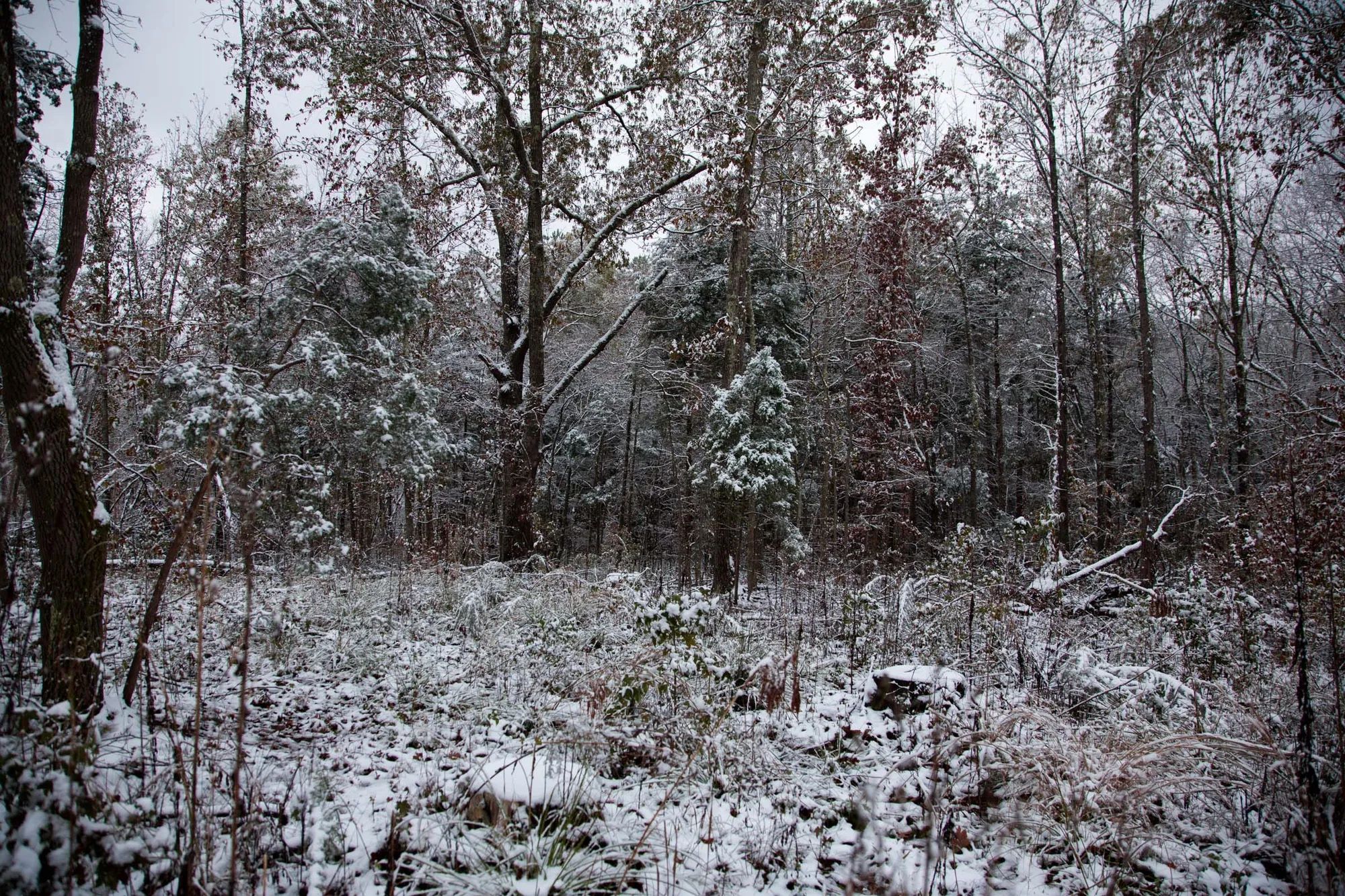 Sweet Water Ranch Tract 26 in Decatur County, TN
