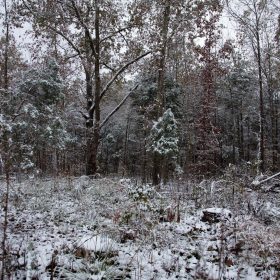 Sweet Water Ranch Tract 26 in Decatur County, TN