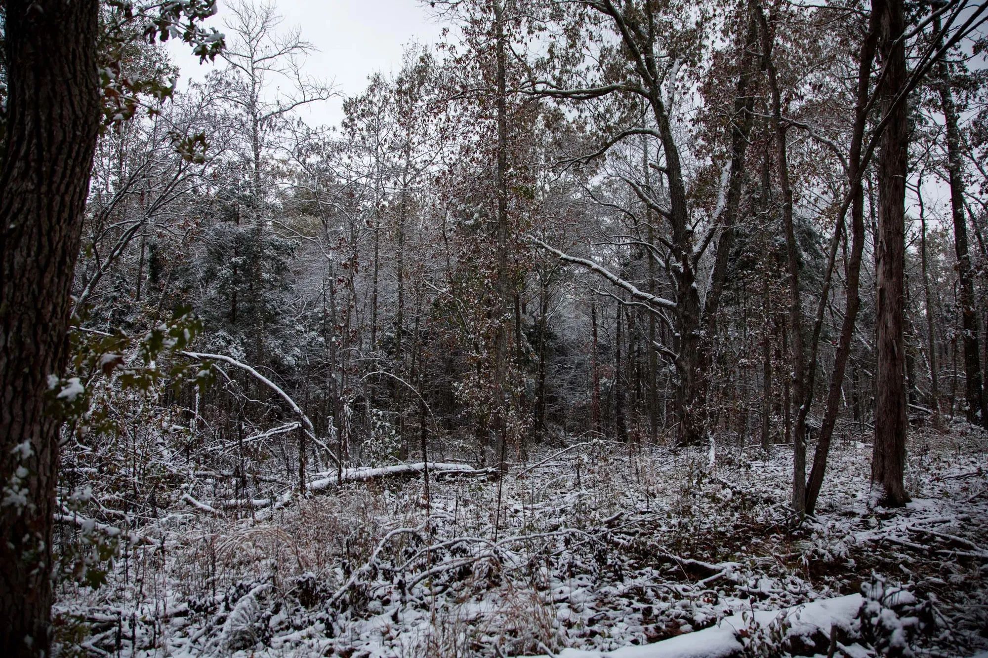 Sweet Water Ranch Tract 26 in Decatur County, TN