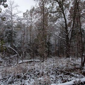 Sweet Water Ranch Tract 26 in Decatur County, TN