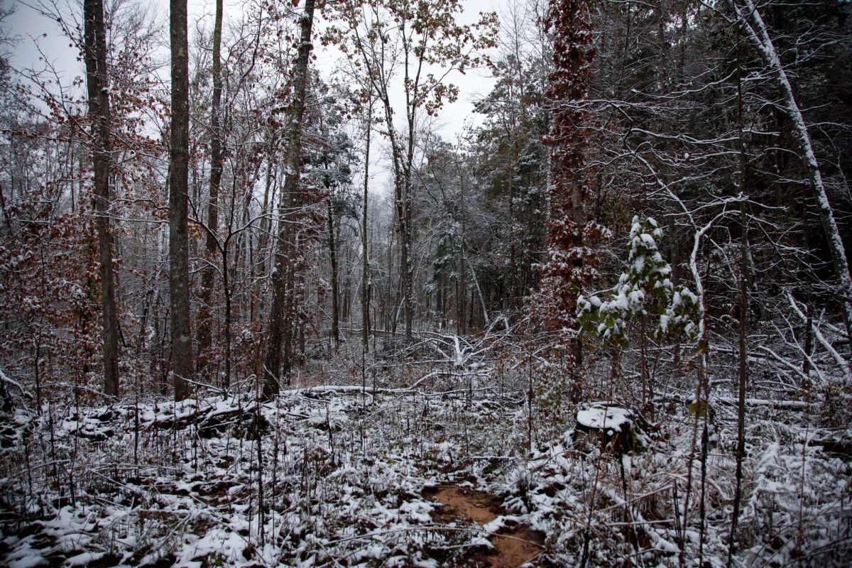 Decorative background for Sweet Water Ranch Tract 26 image 6
