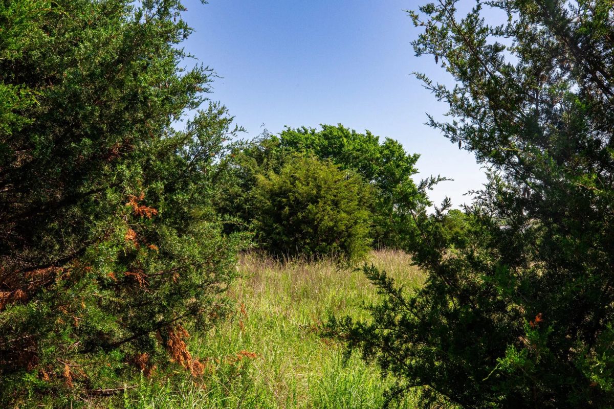 Decorative background for Prairie Grove Tract 18 image 6