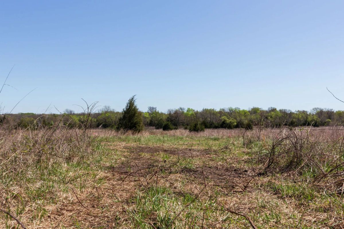 Decorative background for Prairie Grove Tract 18 image 11