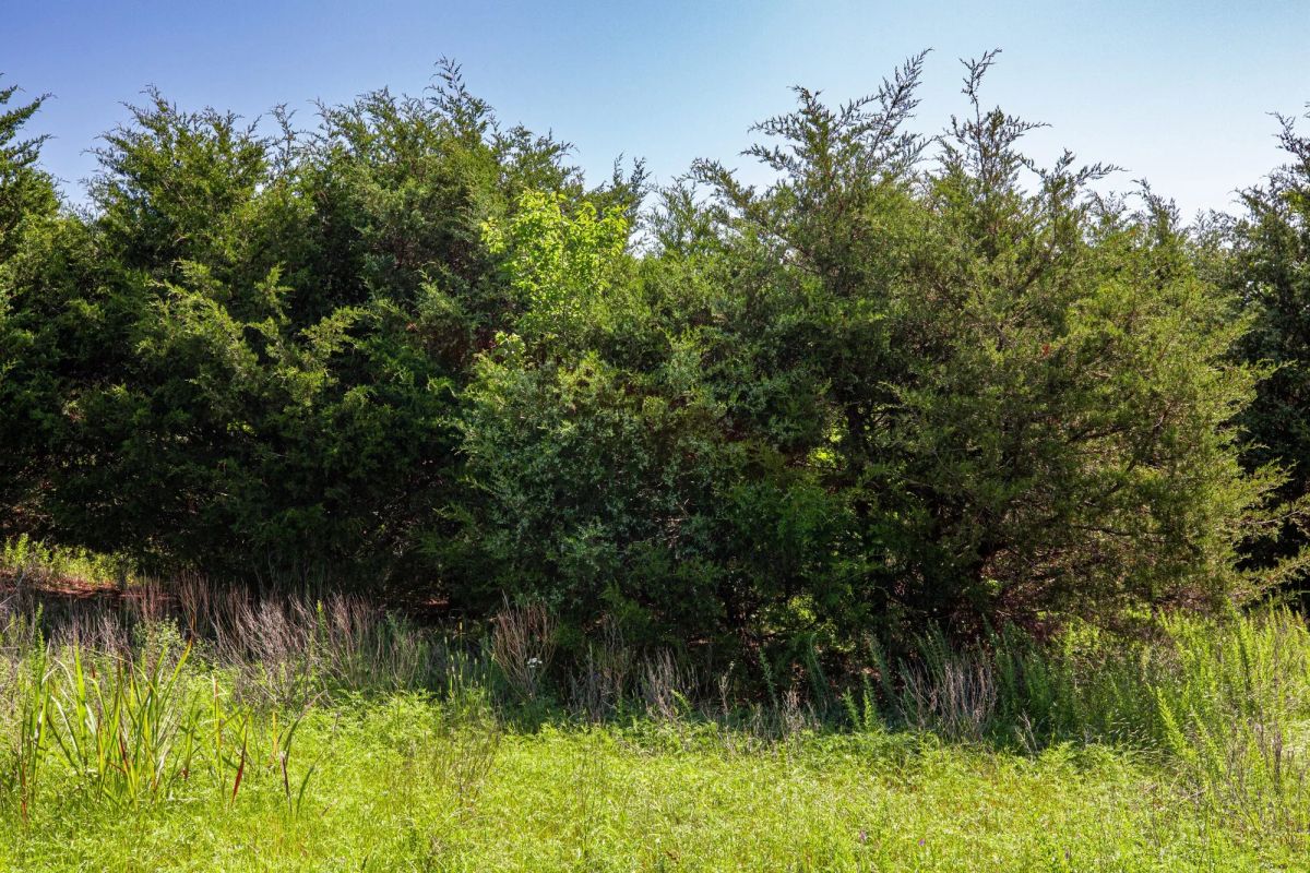 Decorative background for Prairie Grove Tract 18 image 12