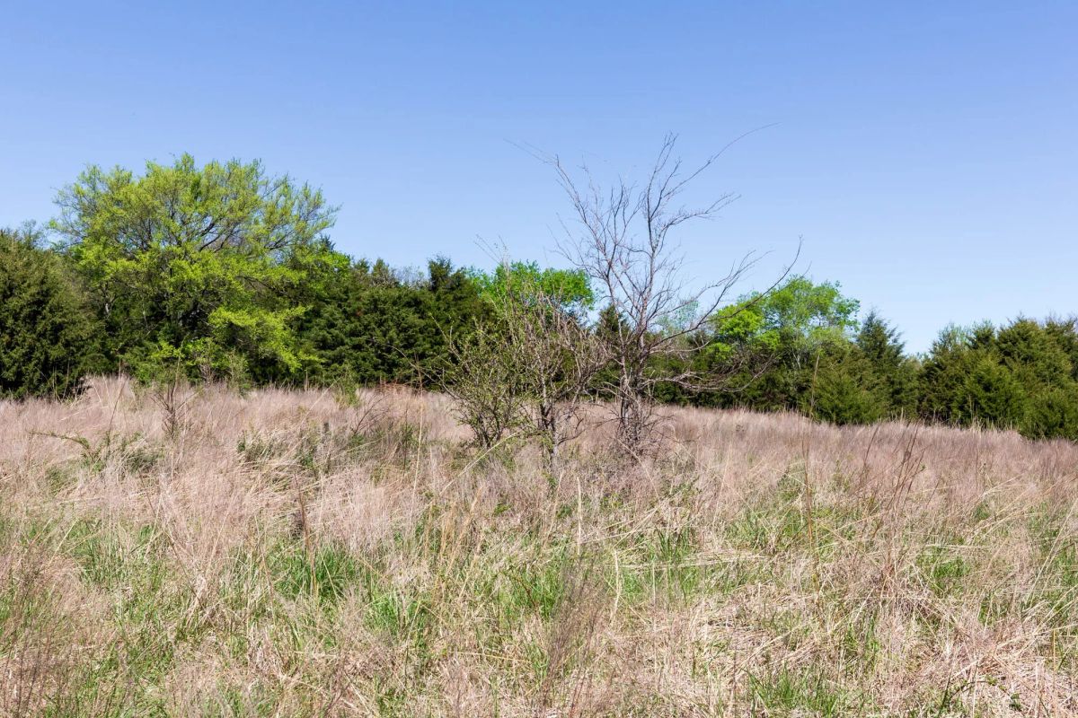Decorative background for Prairie Grove Tract 18 image 13