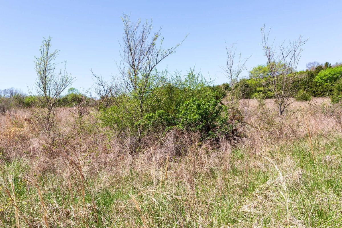 Decorative background for Prairie Grove Tract 18 image 14