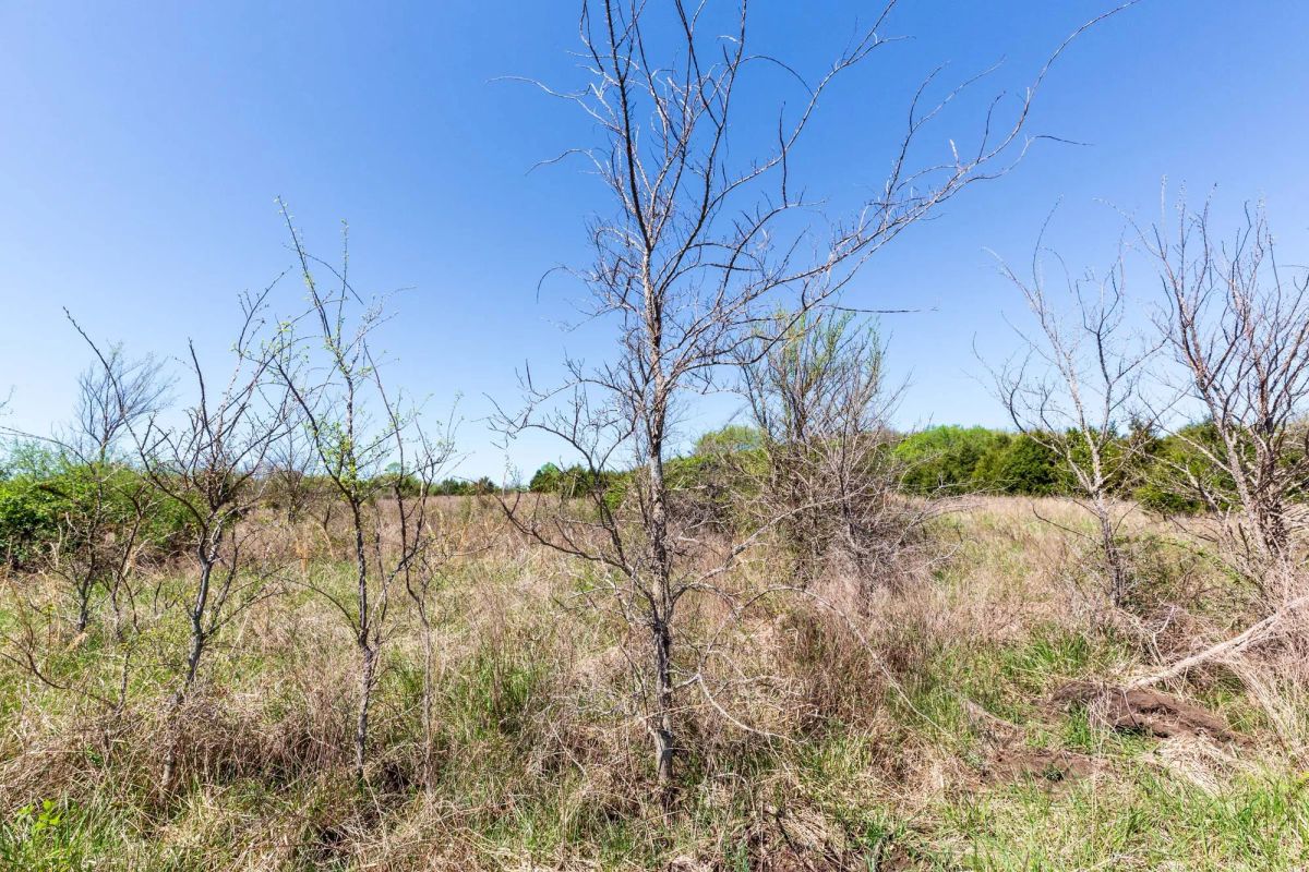 Decorative background for Prairie Grove Tract 18 image 15