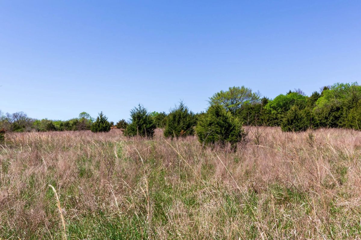 Decorative background for Prairie Grove Tract 18 image 16