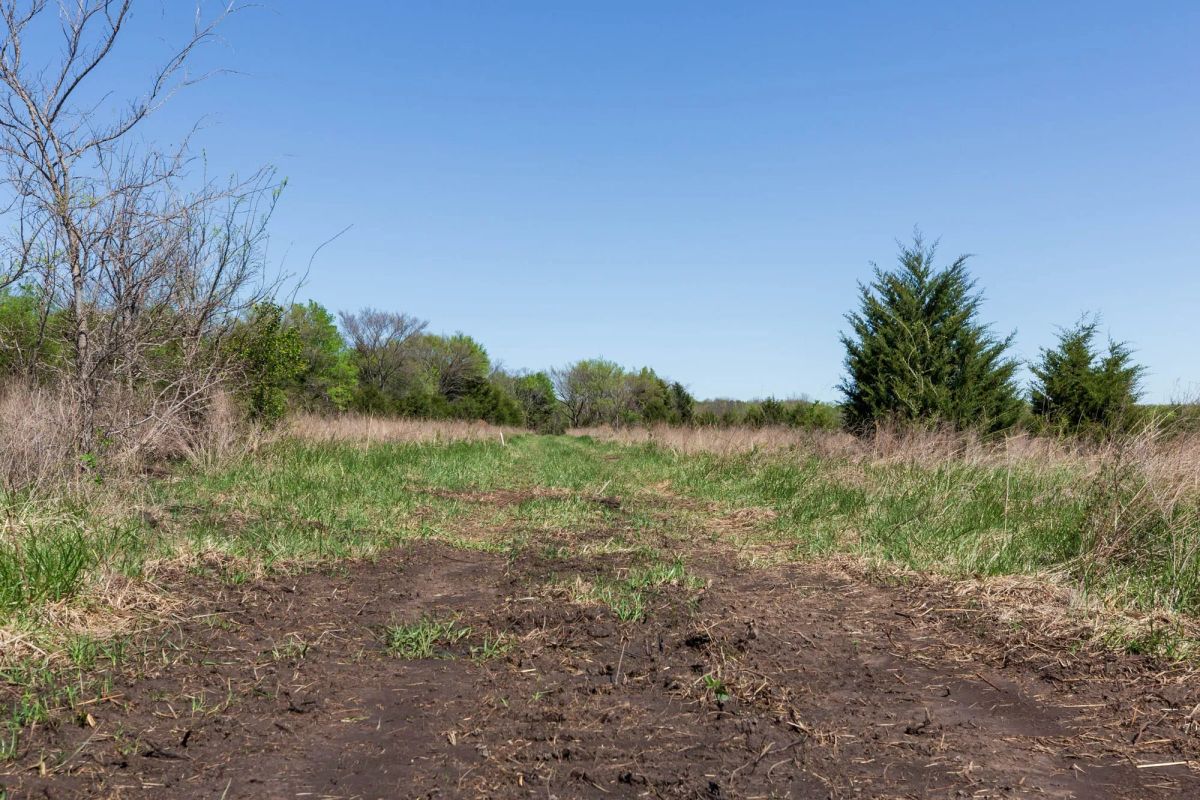 Decorative background for Prairie Grove Tract 18 image 17