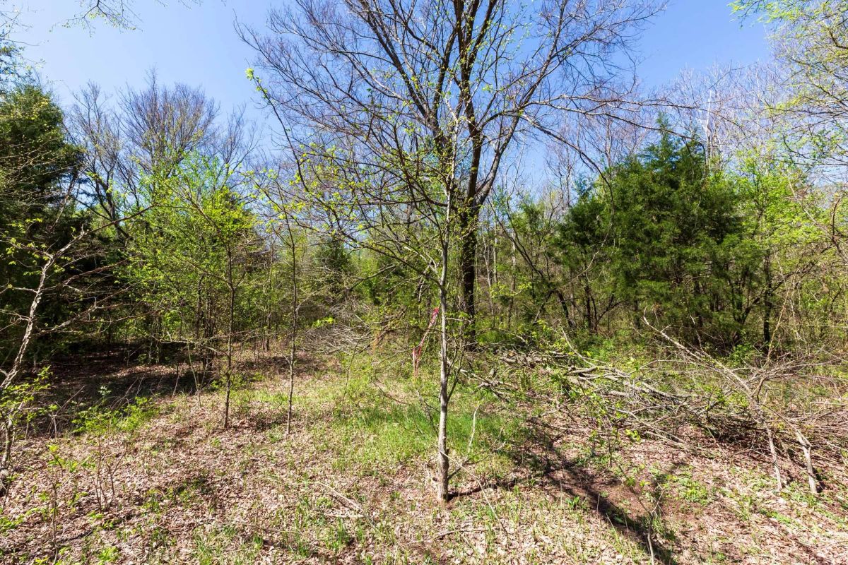 Decorative background for Prairie Grove Tract 18 image 24