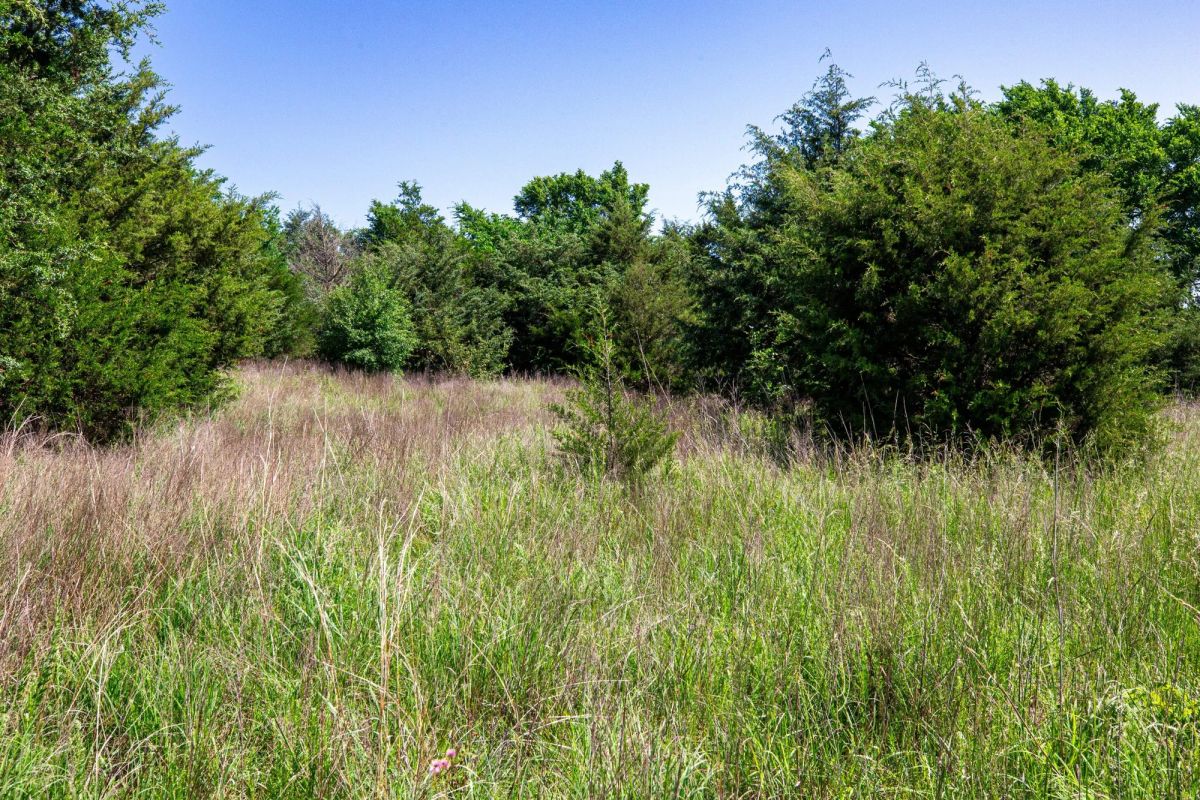 Decorative background for Prairie Grove Tract 18 image 26