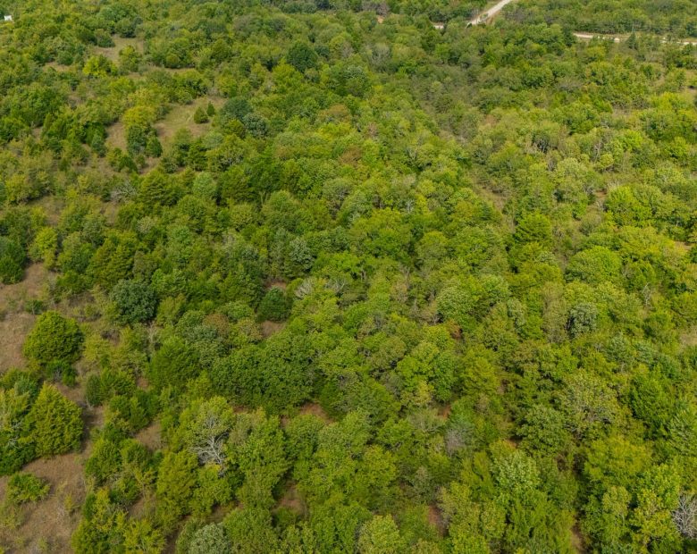 Reserves At Cattail Cove Phase II Tract 48 in Pittsburg County, OK