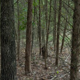 Reserves At Cattail Cove Phase II Tract 48 in Pittsburg County, OK