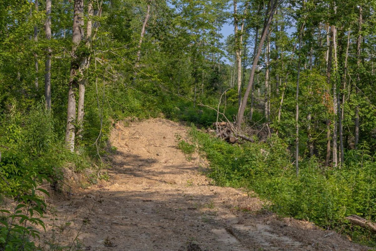 Creek Hollow Phase II Tract 81 - Main image