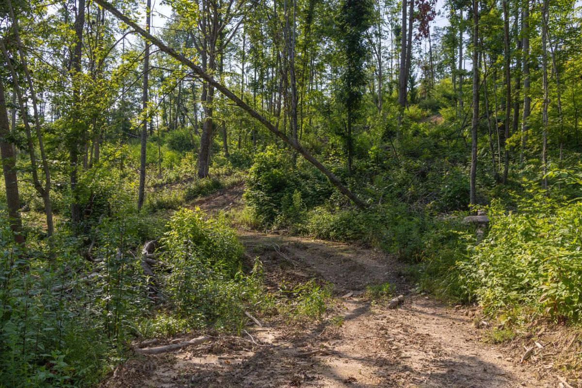 Creek Hollow Phase II Tract 81 - Image 2