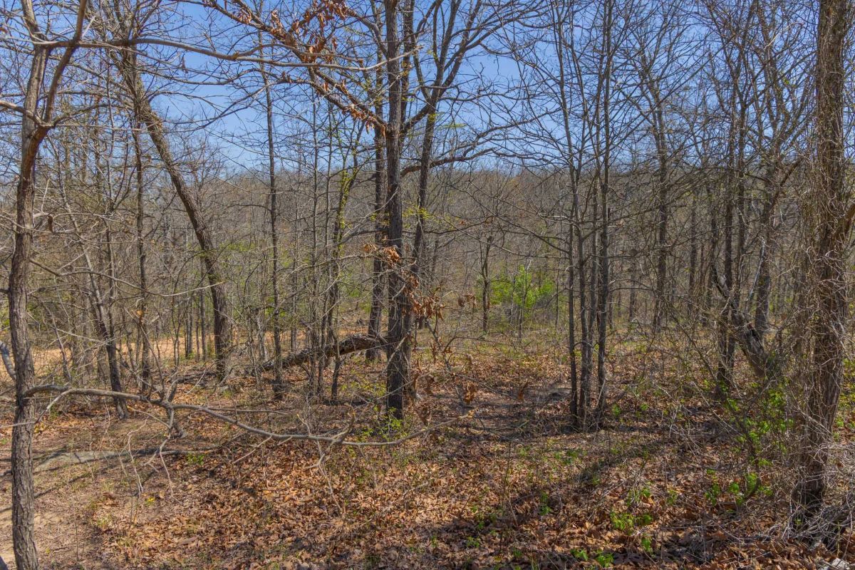 JLH Estates Tract 12 - Image 4