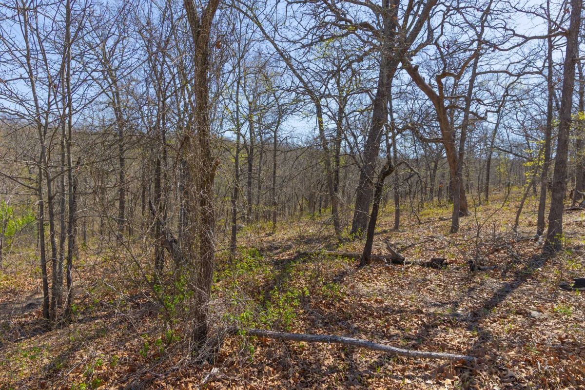 Decorative background for JLH Estates Tract 12 image 5